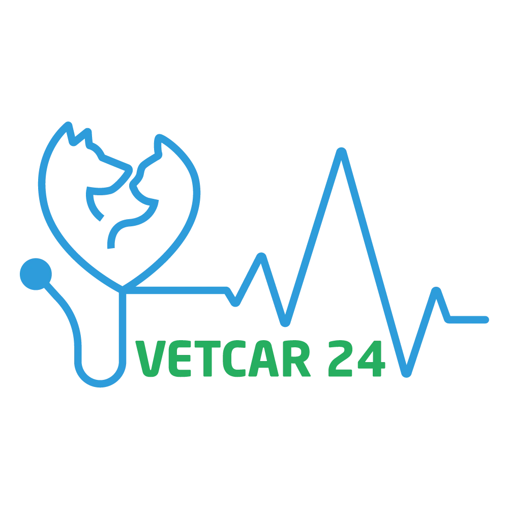 VetCar24 Logo